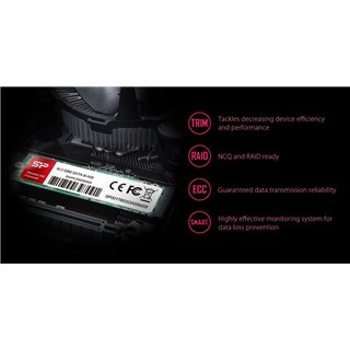 SILICON POWER SSD A55, 256GB, M.2 2280, SATA III, 560-530MB/s