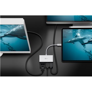 GOOBAY αντάπτορας USB Type-C σε VGA+DP+HDMI 52412, 4K, 14cm, λευκός
