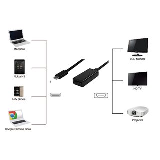 POWERTECH αντάπτορας USB Type-C σε DisplayPort PTH-039, 4K, ασημί