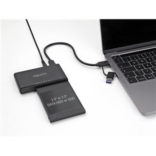 DELOCK converter USB-C σε M.2 & SATA SSD/HDD 64190 με λειτουργία κλώνου