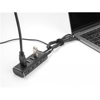 DELOCK USB-C hub 64233 με διακόπτες, 4x USB θύρες, 10Gbps, μαύρο